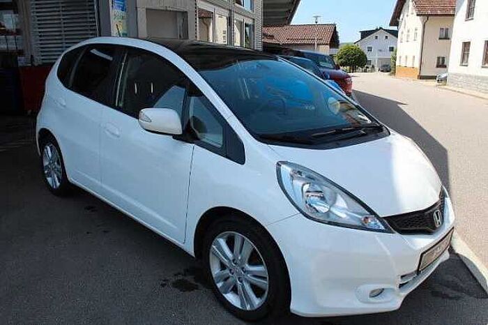 Honda Jazz 1.4 Elegance, Panorama, 16-Zoll, Privacy
